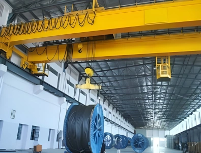 Crane Manufacturers in Chennai